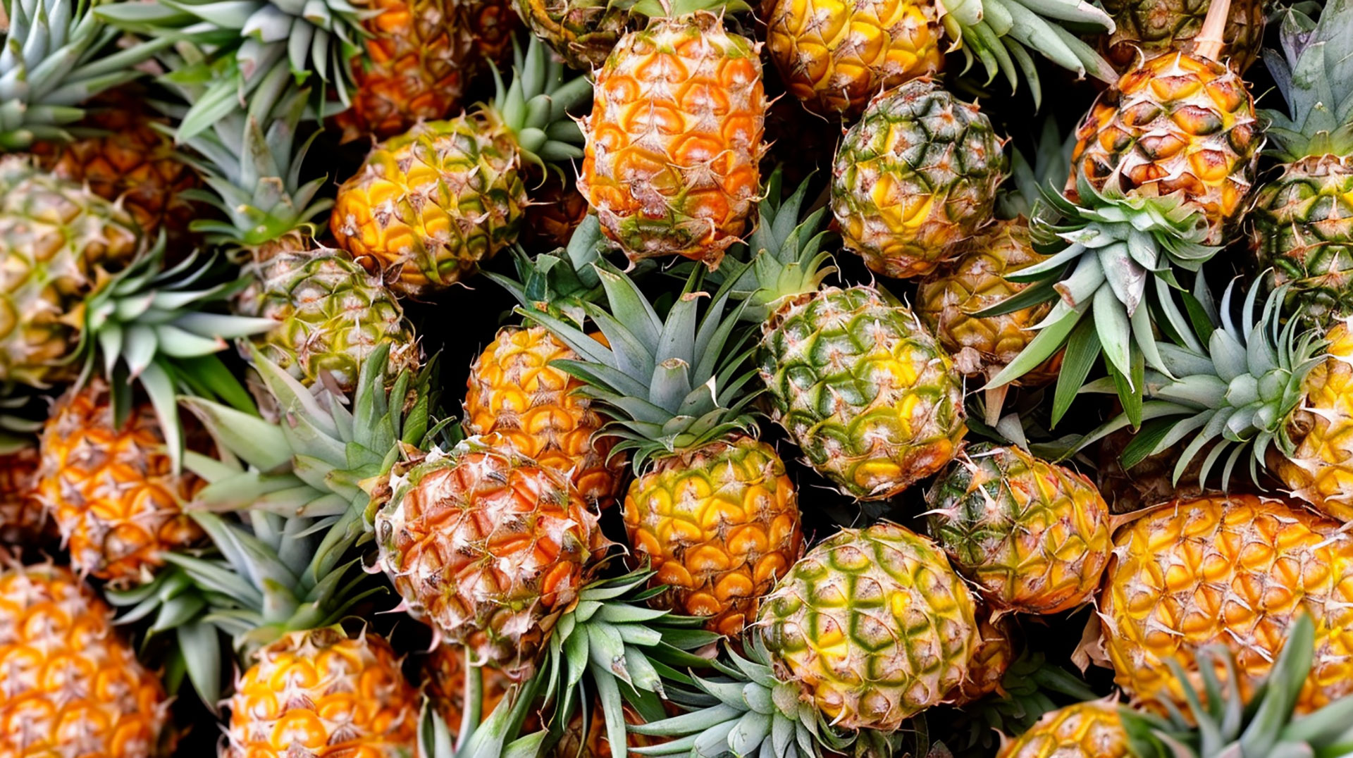 Download Free Pineapple Wallpapers for Your Desktop