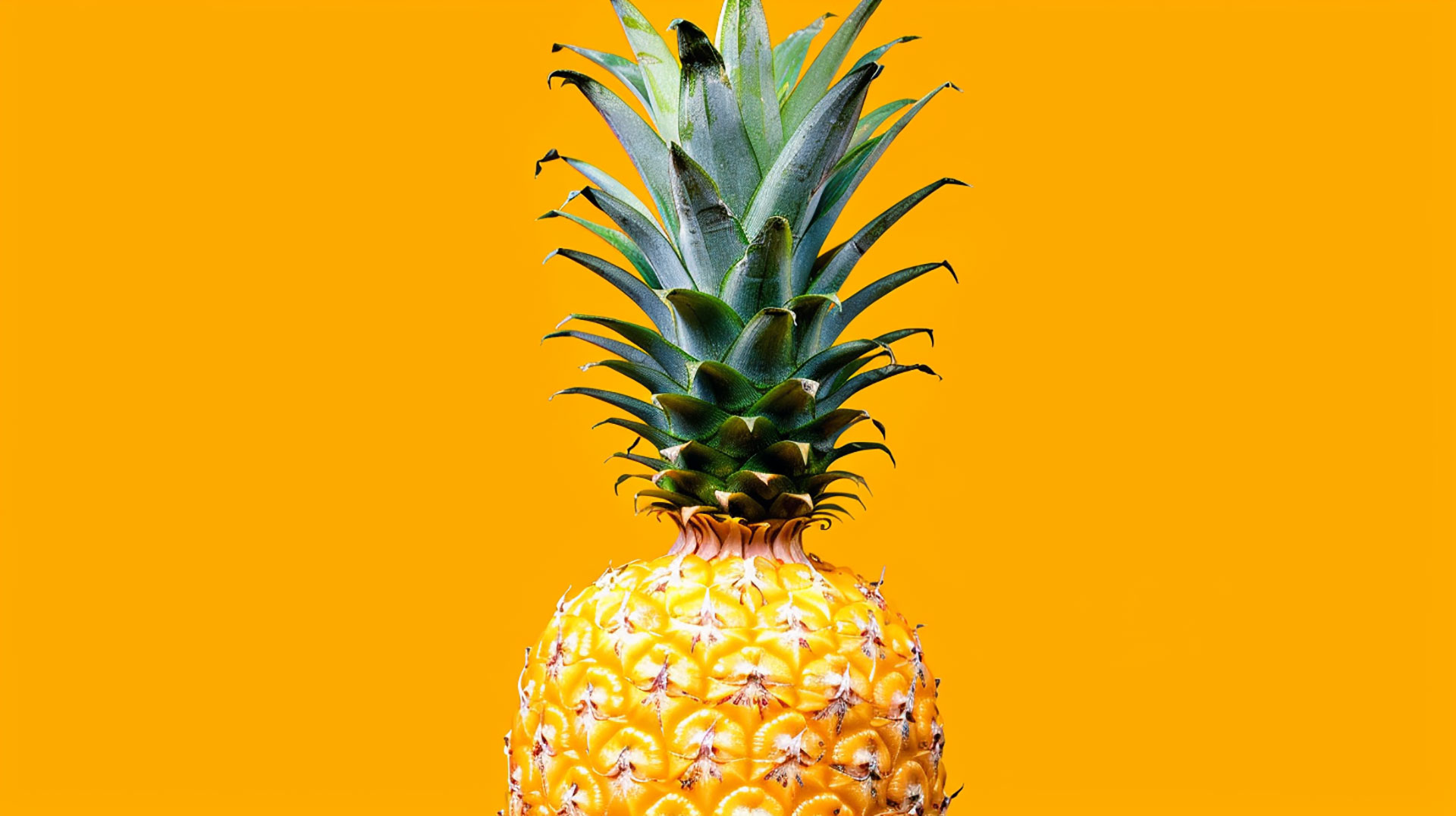 Decorate Your Screen with Vibrant Pineapple Images