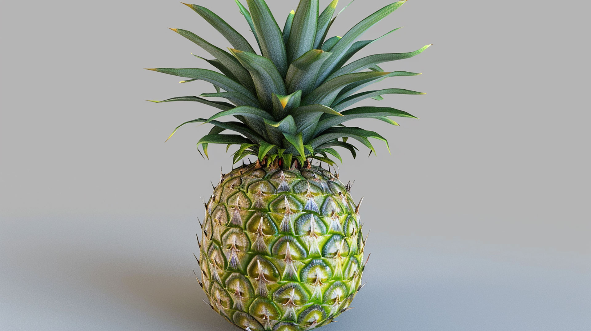 Free to Use Big Pineapple Pictures for Social Media and Websites