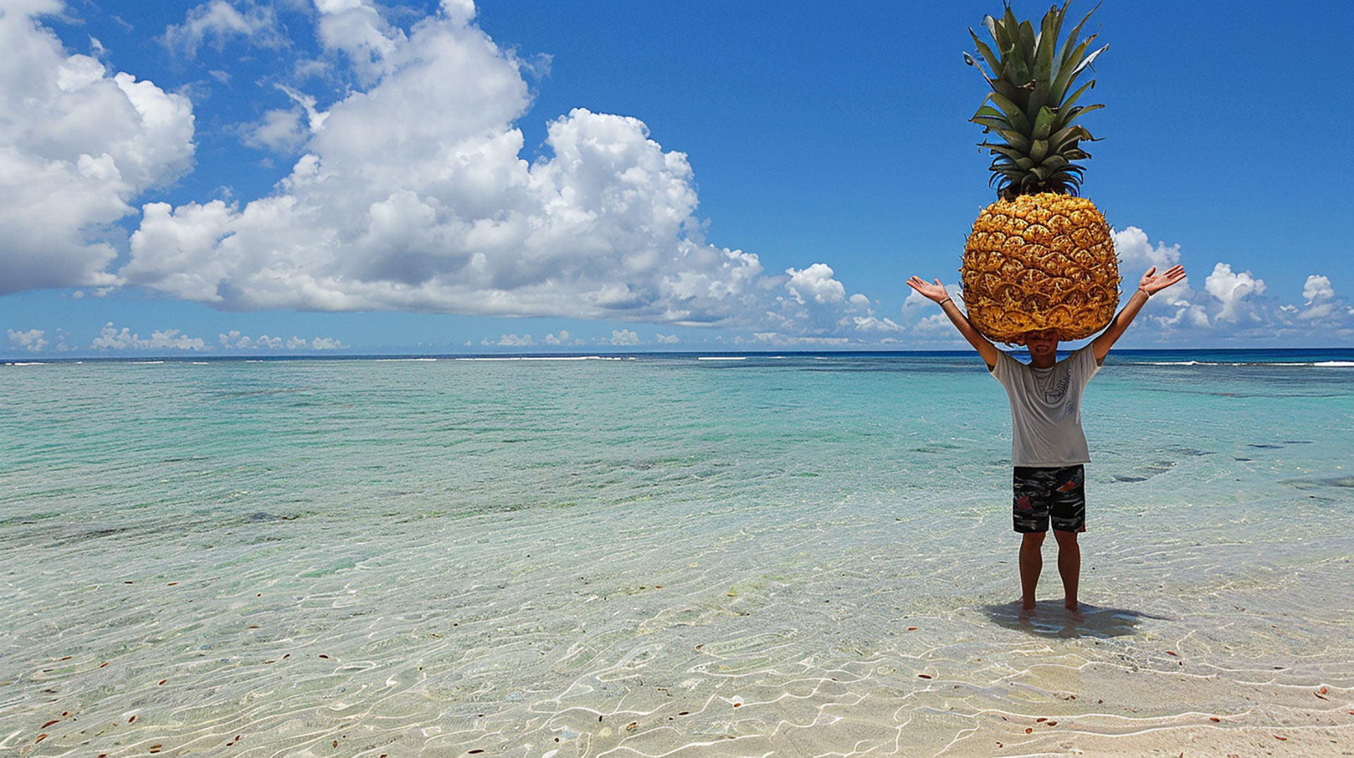 Enhance Your Collection with Big Pineapple Images in 8K Clarity