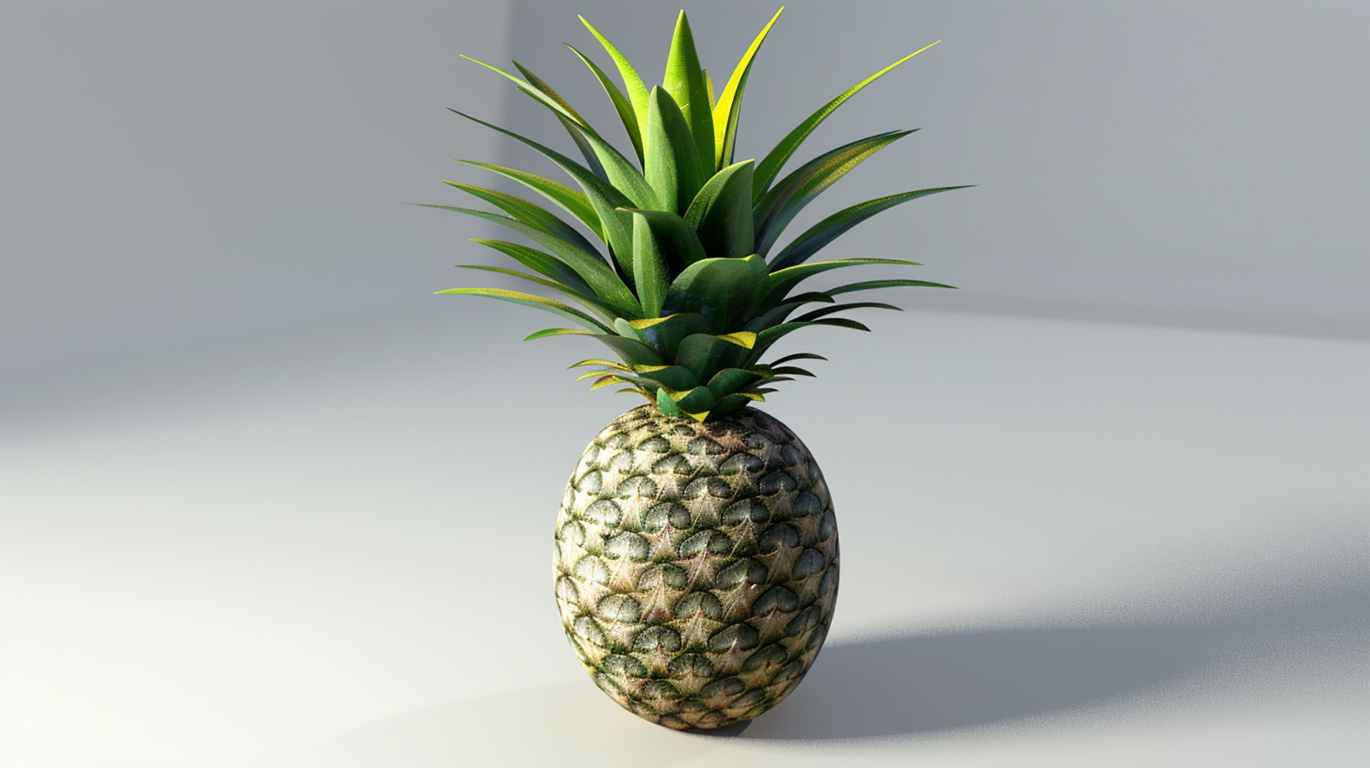 Download Pineapple Images Perfect for Wallpaper