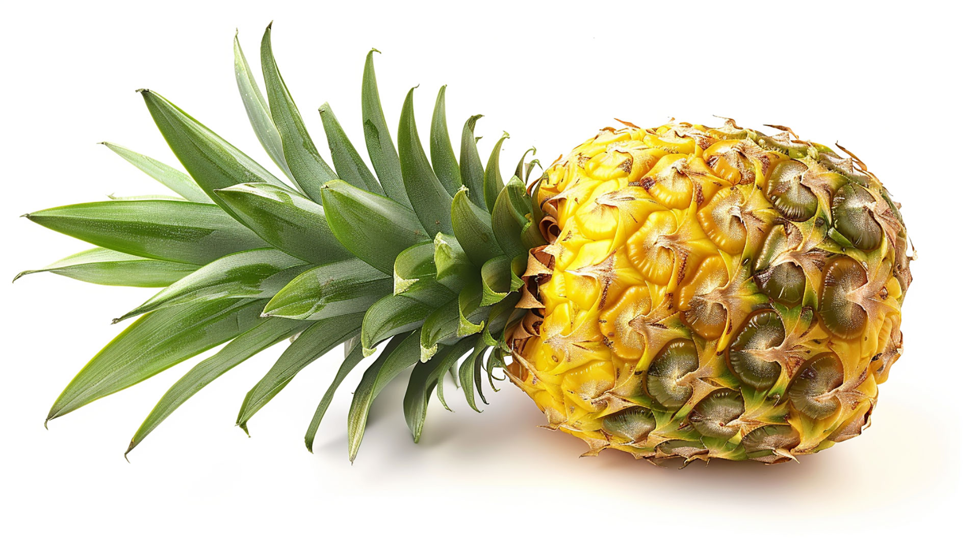 Royalty-Free Pineapple Pics for Commercial Projects