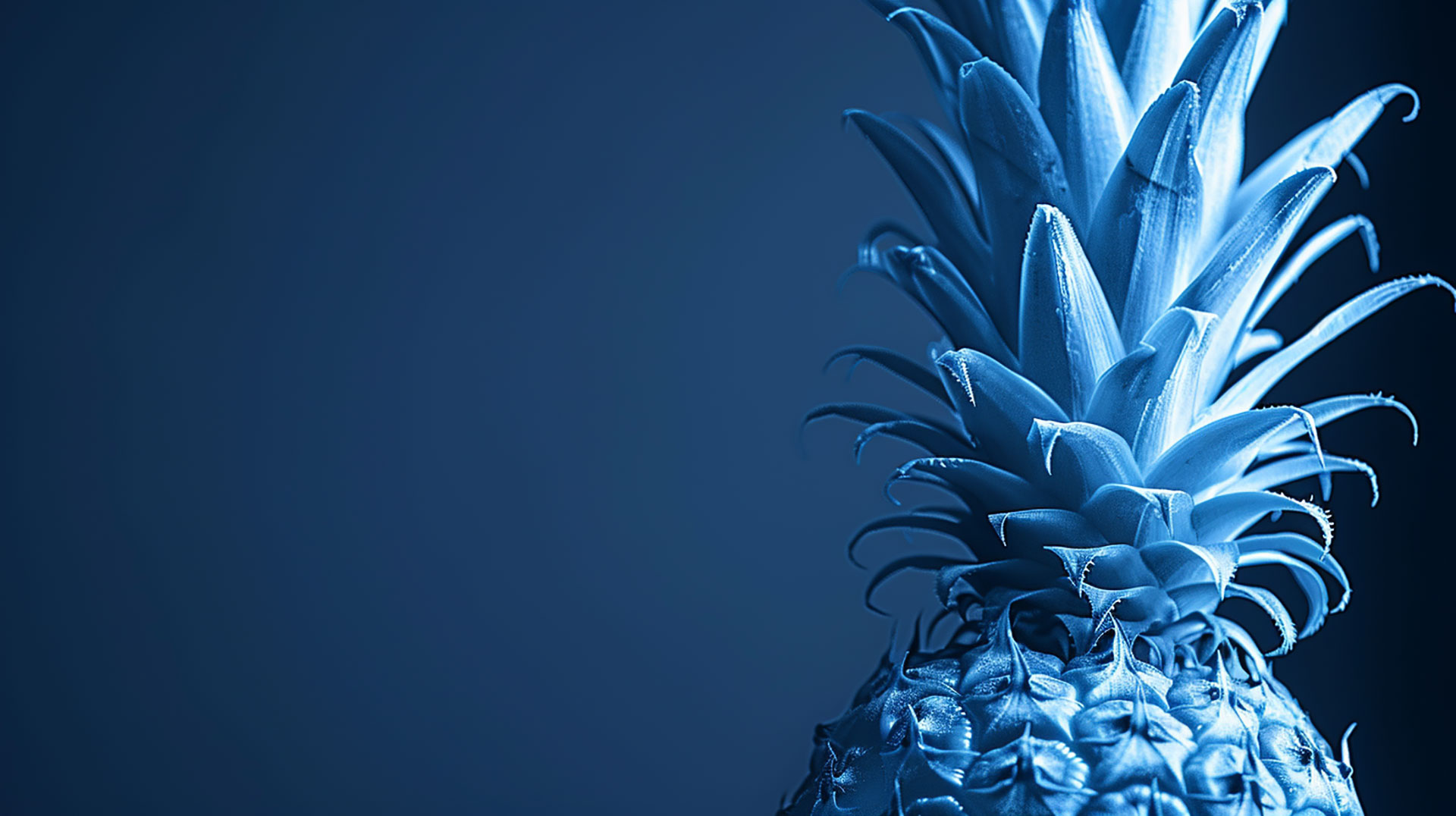 Download Blue Pineapple Wallpaper in Various Resolutions