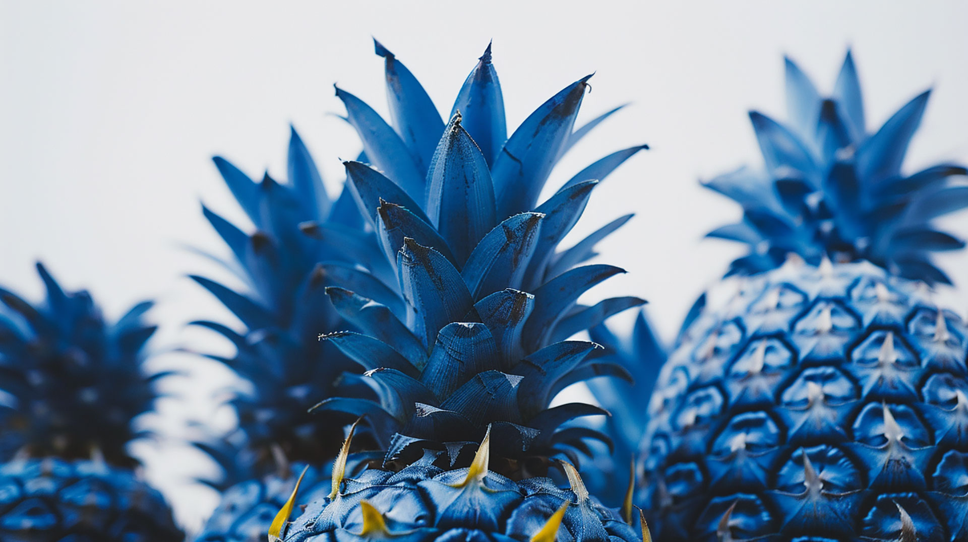 4K Blue Pineapple Wallpaper: Stunning Visuals for Your Screen