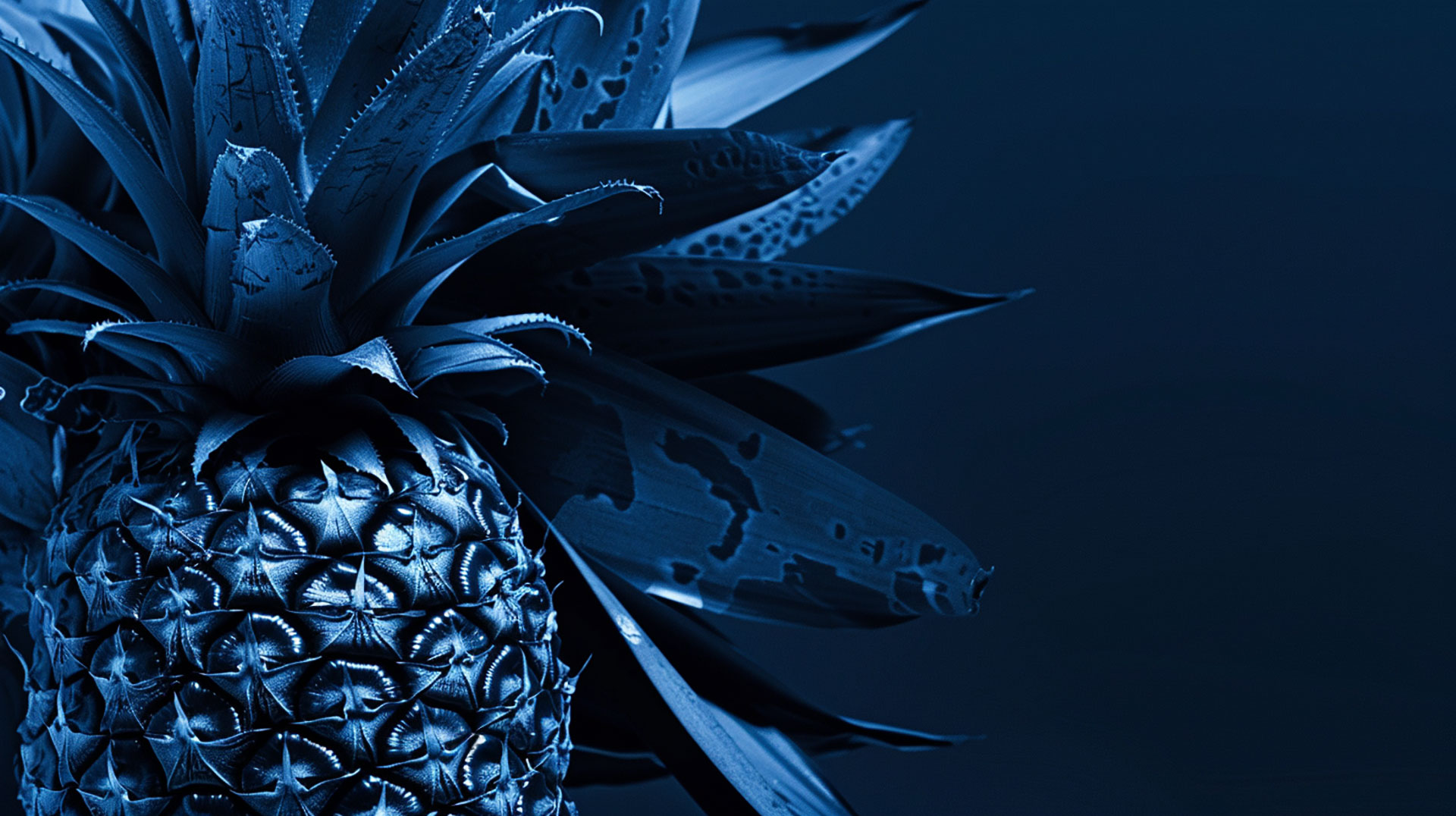 Blue Pineapple Wallpaper HD: Perfect for Desktops and Mobile Devices