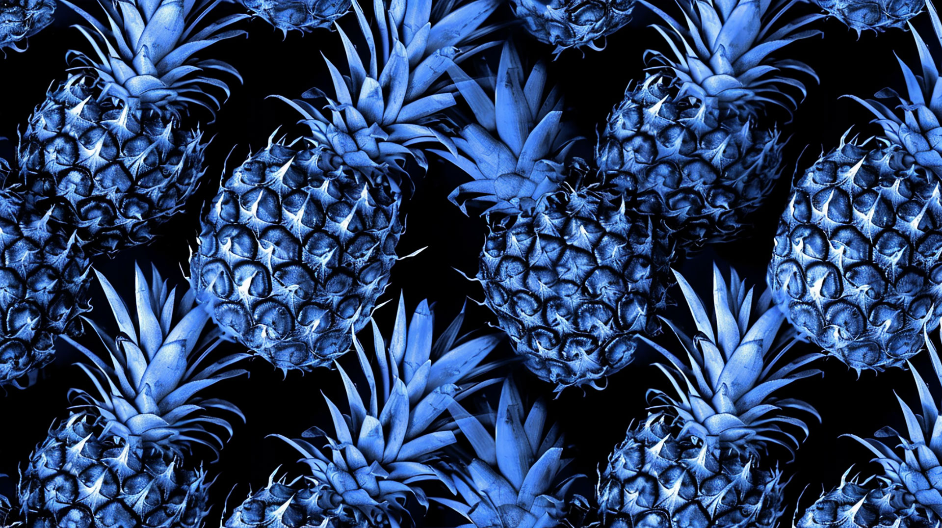 Discover Blue Pineapple: High-Resolution Wallpapers for Download