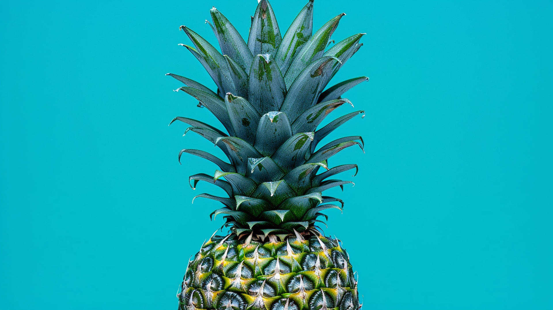 Beautiful Blue Pineapple Wallpaper in HD Quality