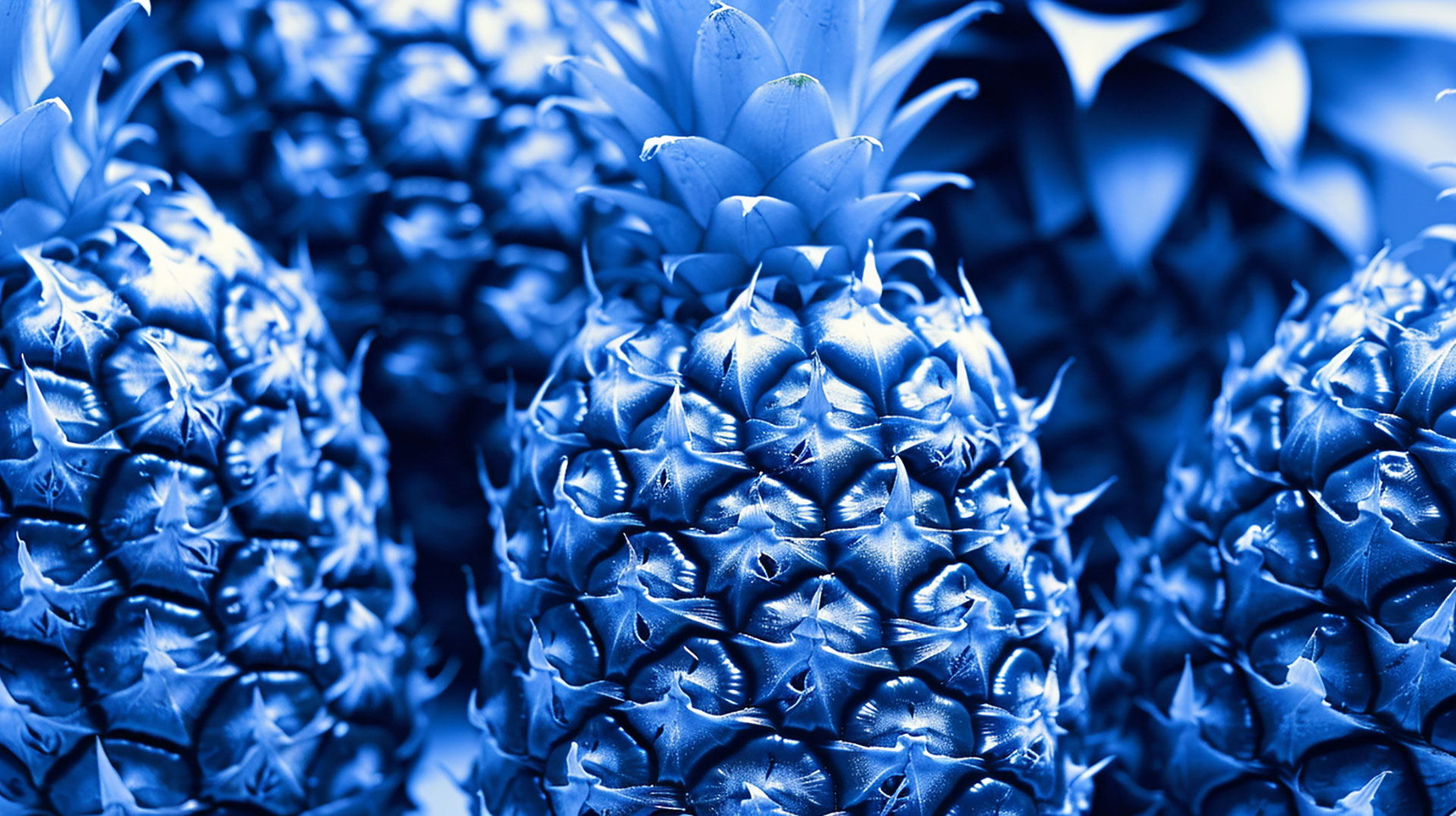 Immerse Yourself in the Beauty of Blue Pineapple: Download HD Wallpaper Now