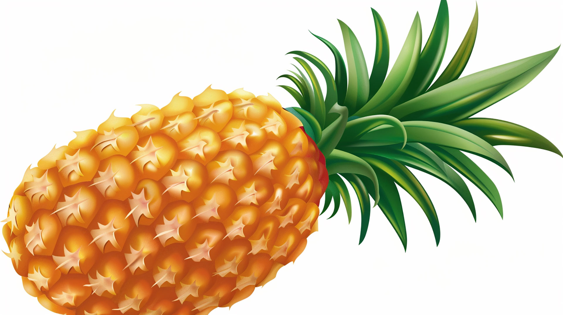 Tropical Pineapple Illustration in High-Resolution 1920x1080