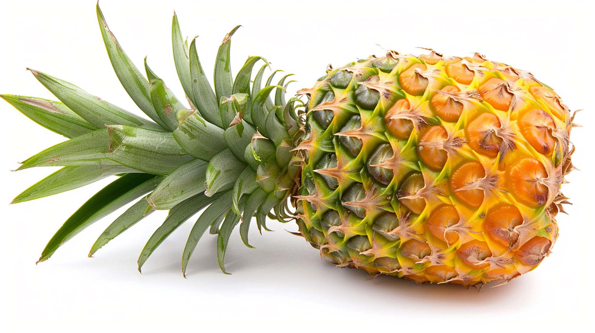 Captivating Pineapple Clipart: Ideal for Blog Posts