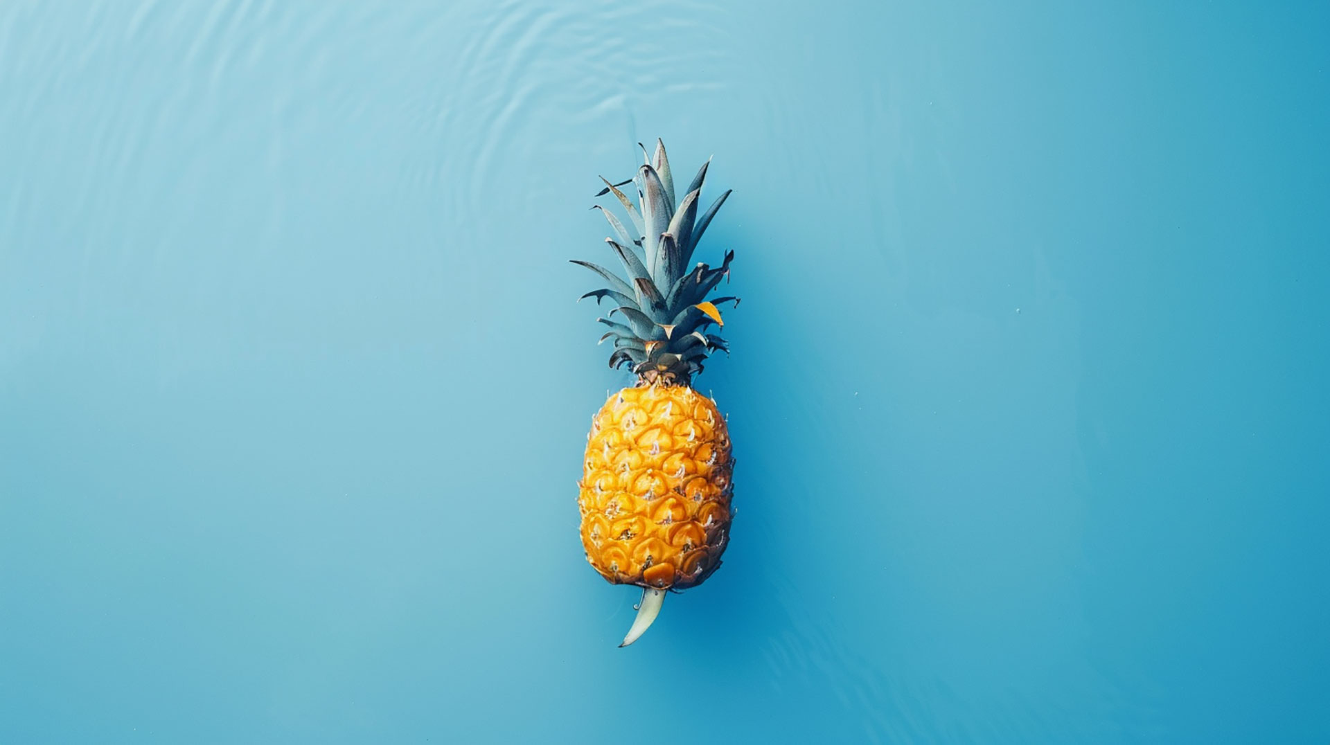 Stunning Pineapple HD Wallpapers in Various Resolutions