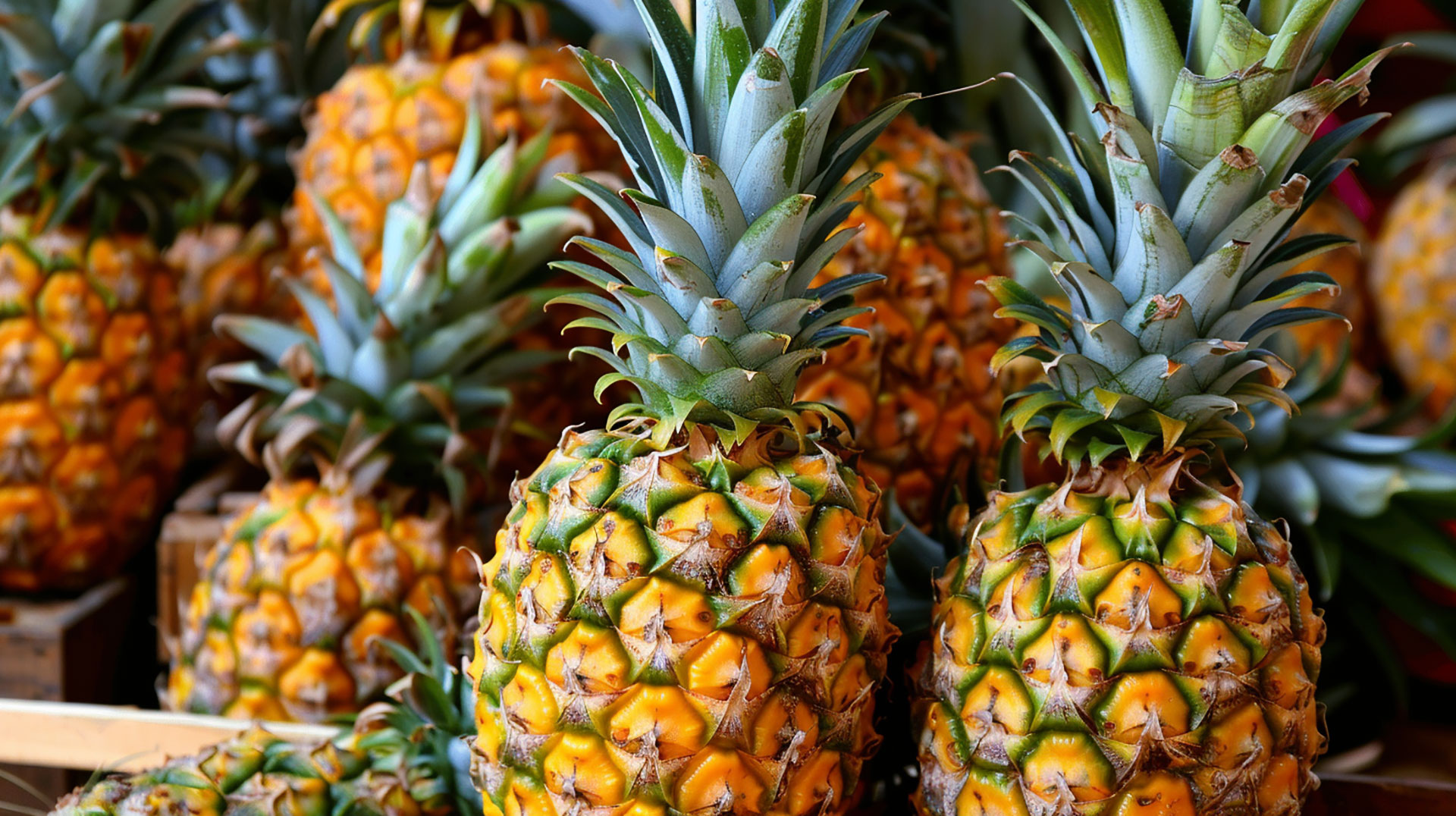 Tropical Delight: Free Pineapple Wallpaper for Desktop and Mobile