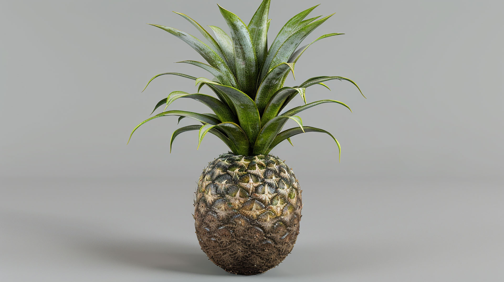 Free Pineapple Images: High-Resolution Options for Digital Art