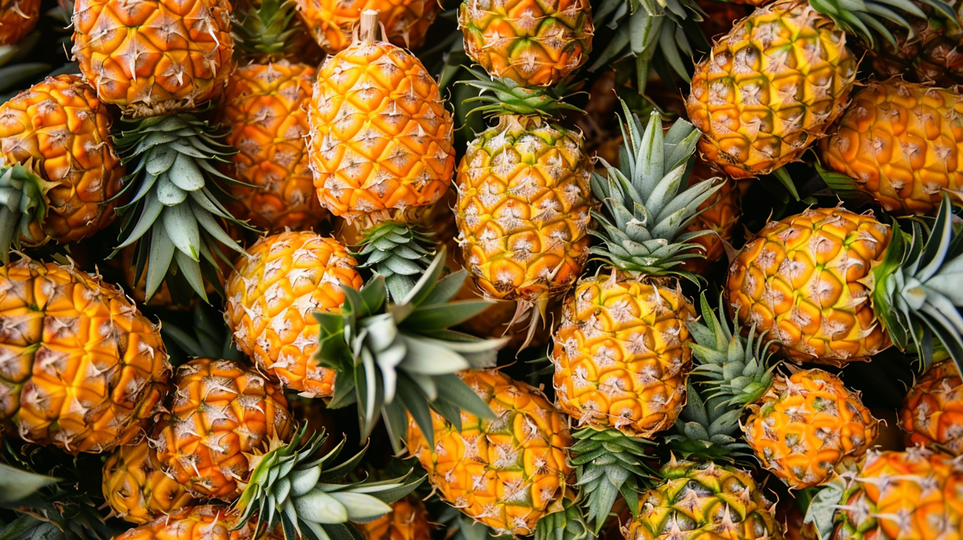 Free Pineapple Images: Perfect for Social Media and Marketing