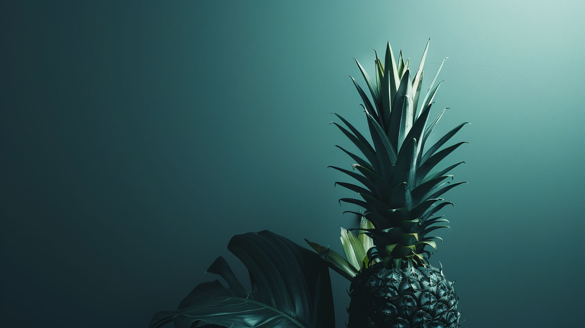 Explore Beautiful Pineapple Plant Photos