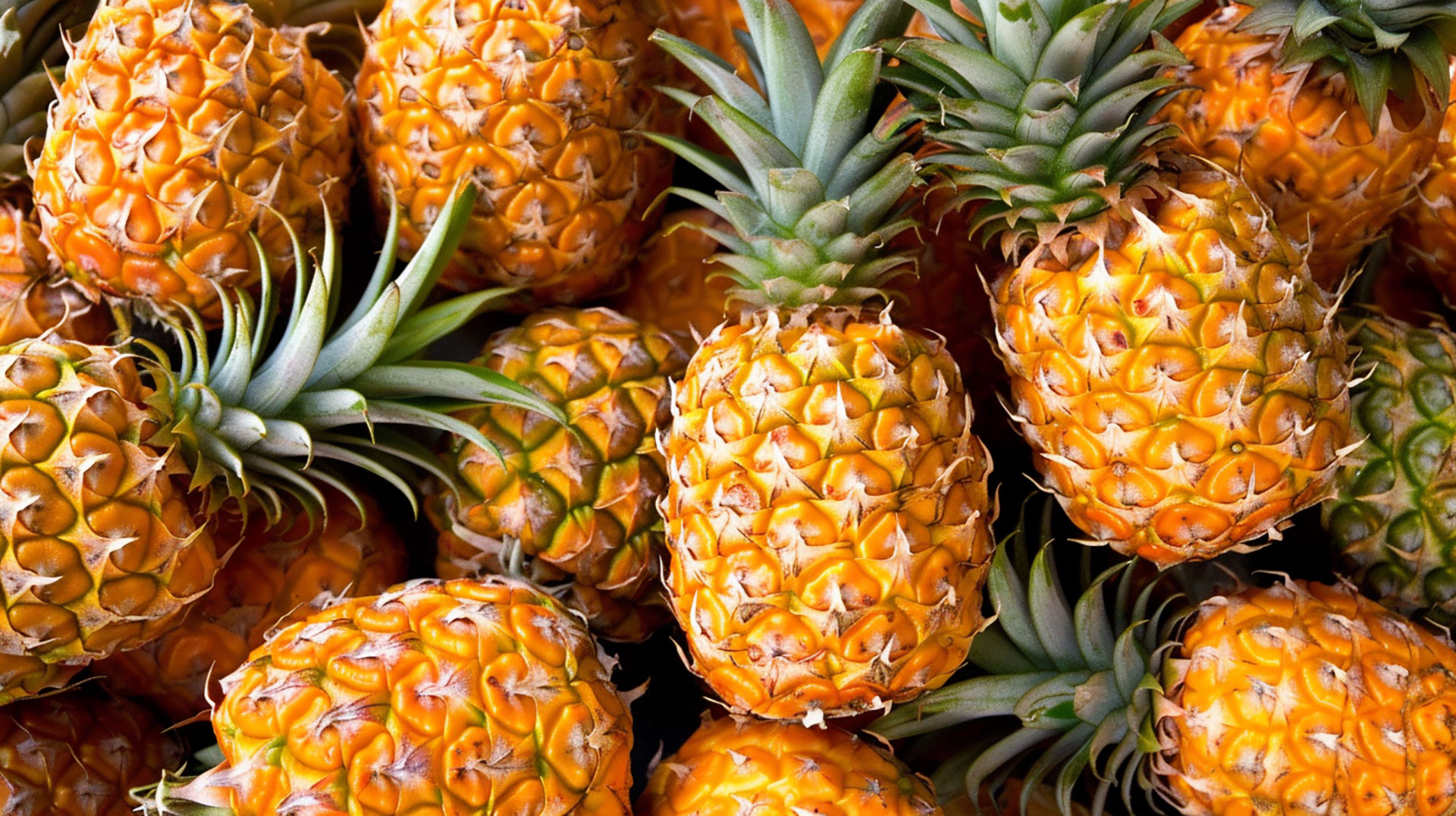 Captivating Pineapple Images for Download