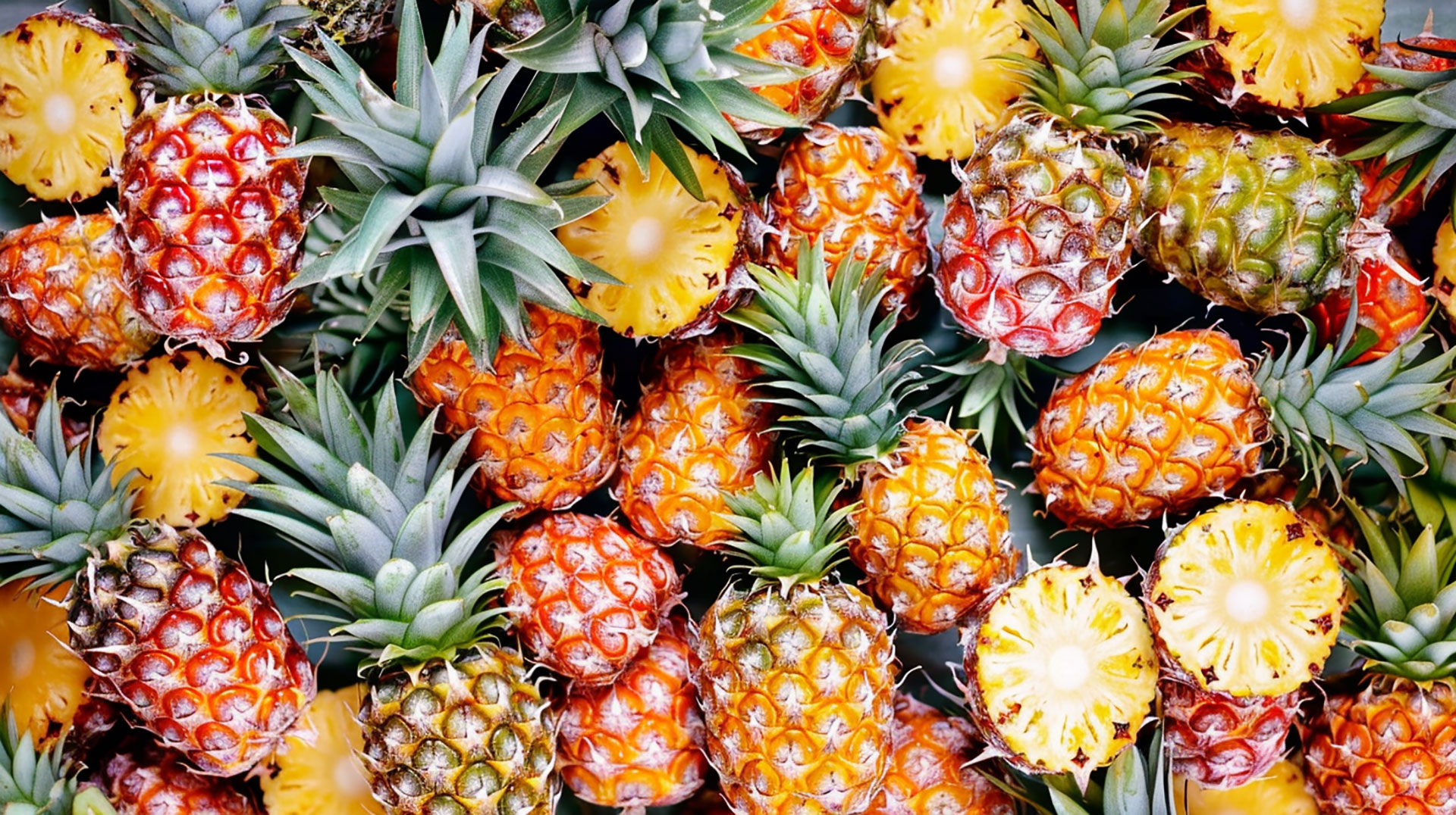 Tropical Pineapple 8k Wallpaper Collection