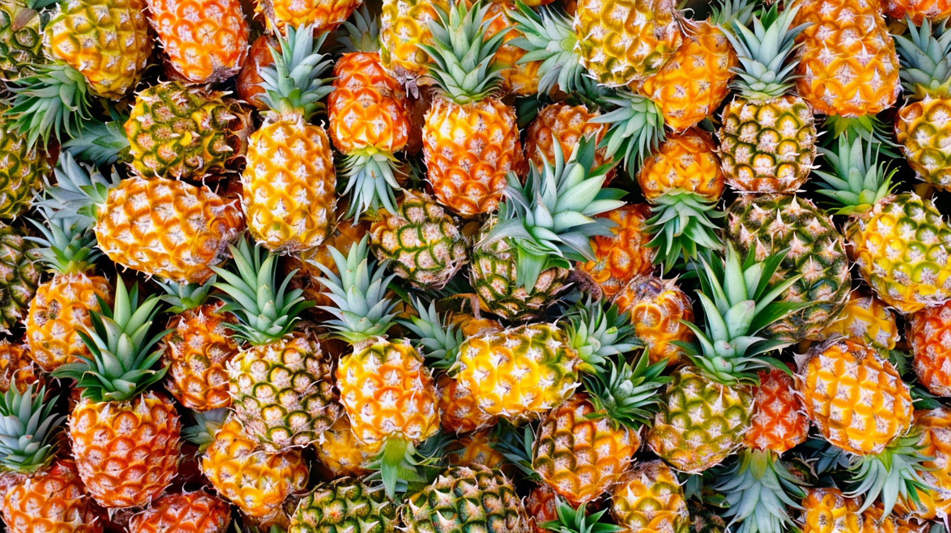 Vibrant Pineapple Photos in Ultra HD 4k Resolution