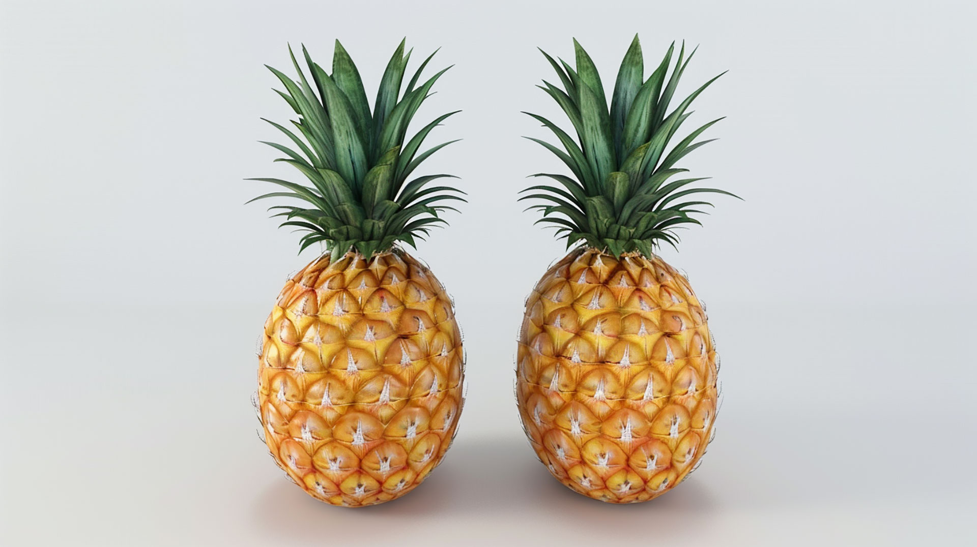 Free Pineapple Images for Personal and Commercial Use