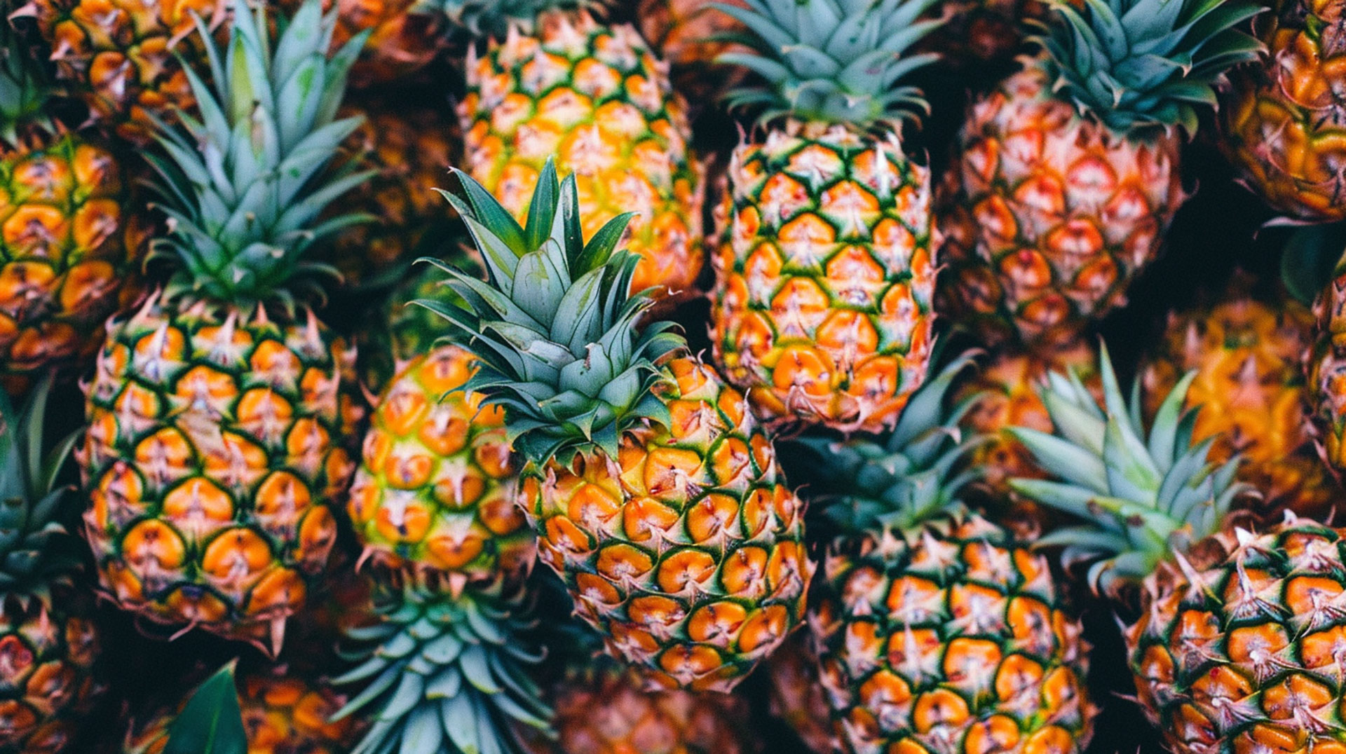 Colorful Ripe Pineapple Picture in 16:9 Aspect Ratio