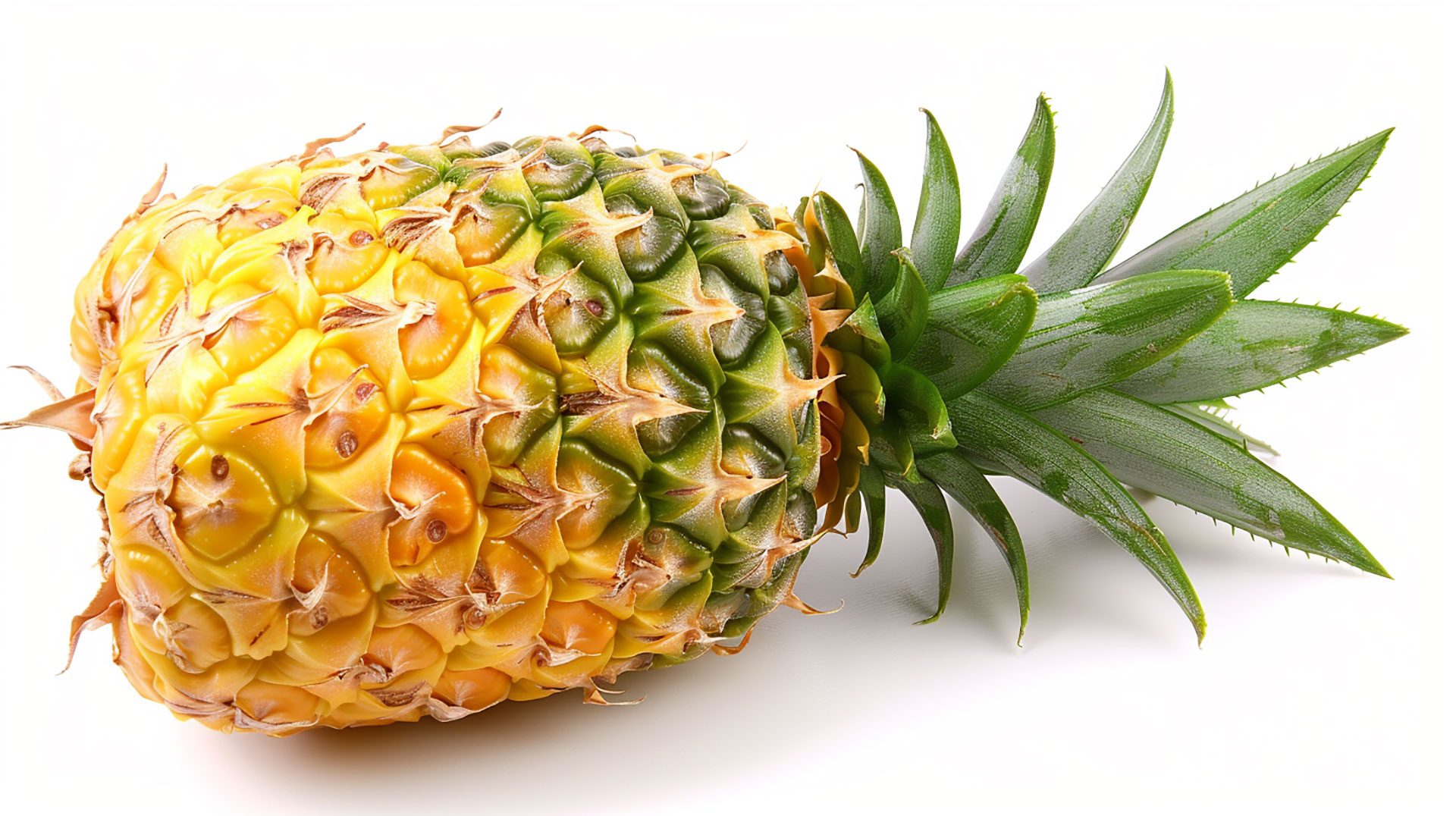 Fresh and Ripe Pineapple Photo in HD