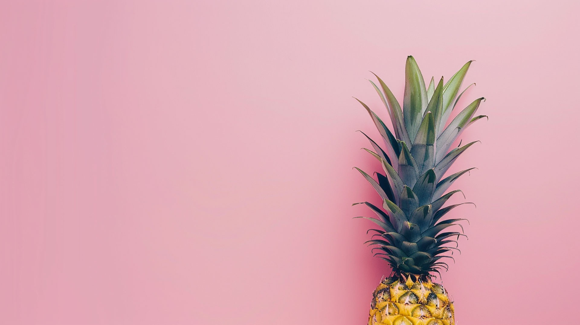 Colorful Pineapple Picture for Desktop Background