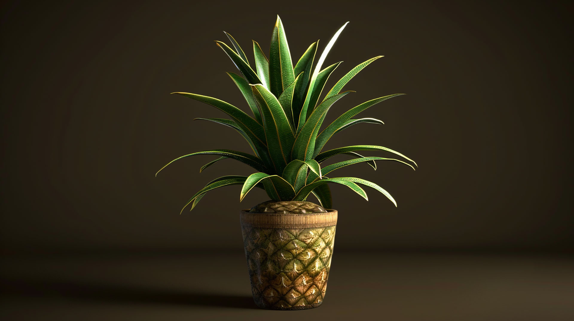 Enjoy Vibrant Pineapple Bush Pictures in Stunning Detail