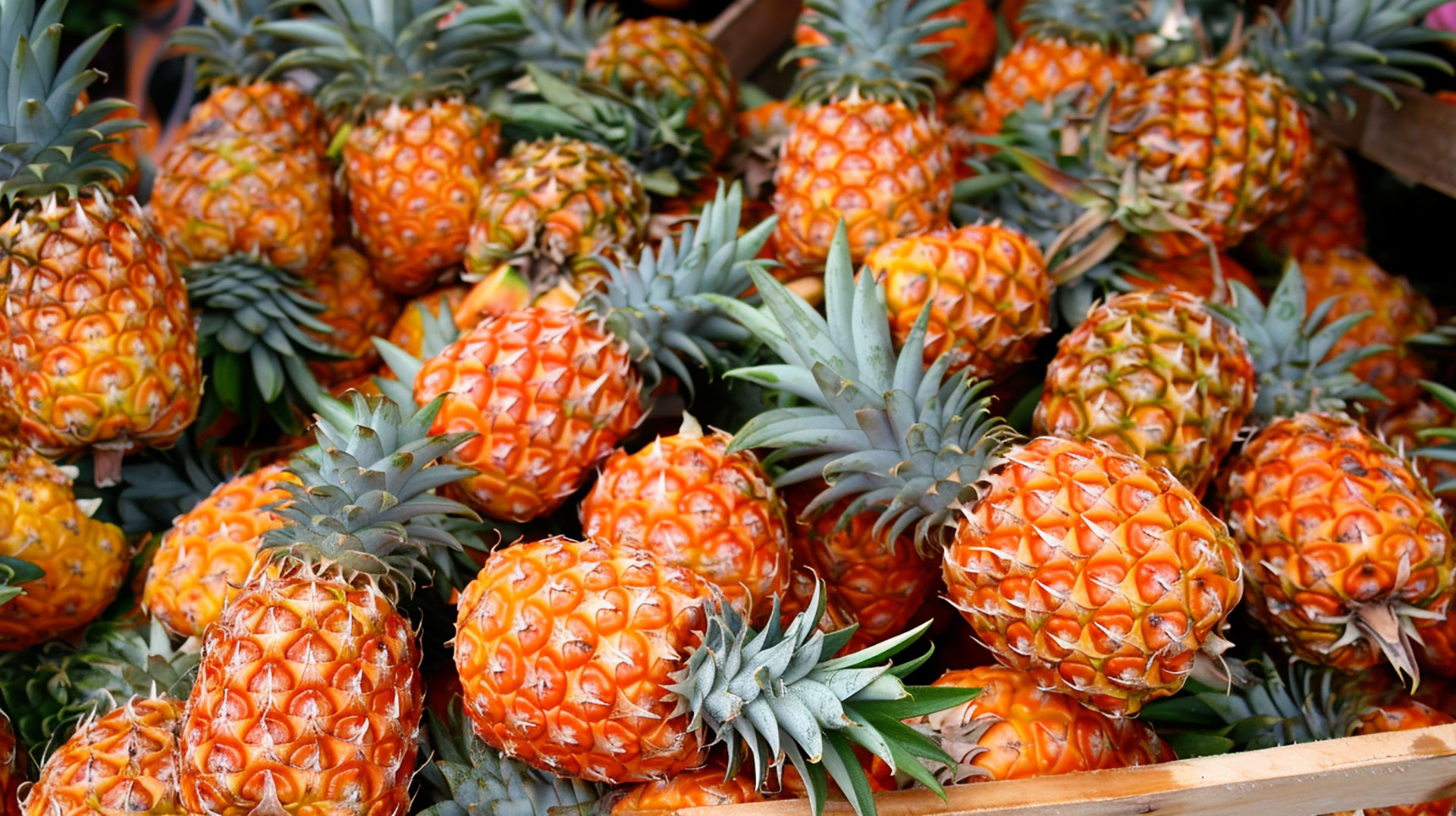 Explore the Freshness of Pineapple in 1920x1080 Full HD