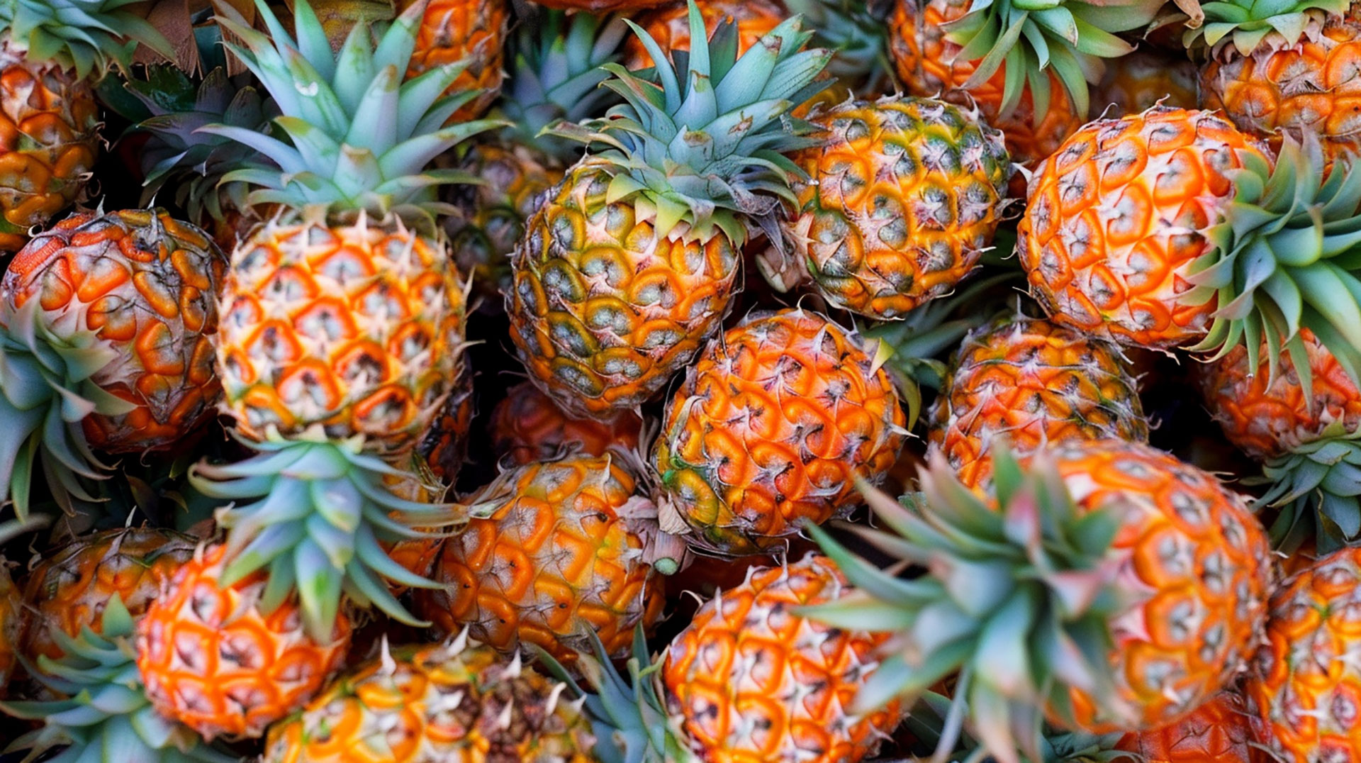 Pineapple Fruit: Stunning Image for Your Wallpaper Gallery and Social Media