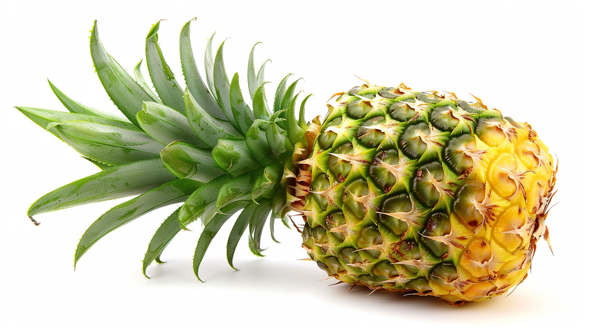 Royalty-Free Pineapple Stock Photo in Stunning HD Quality