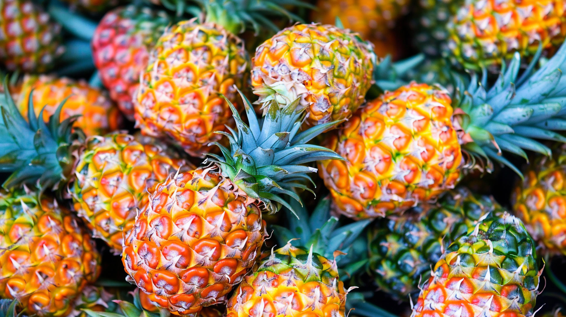 Free High-Resolution Pineapple Picture for Download