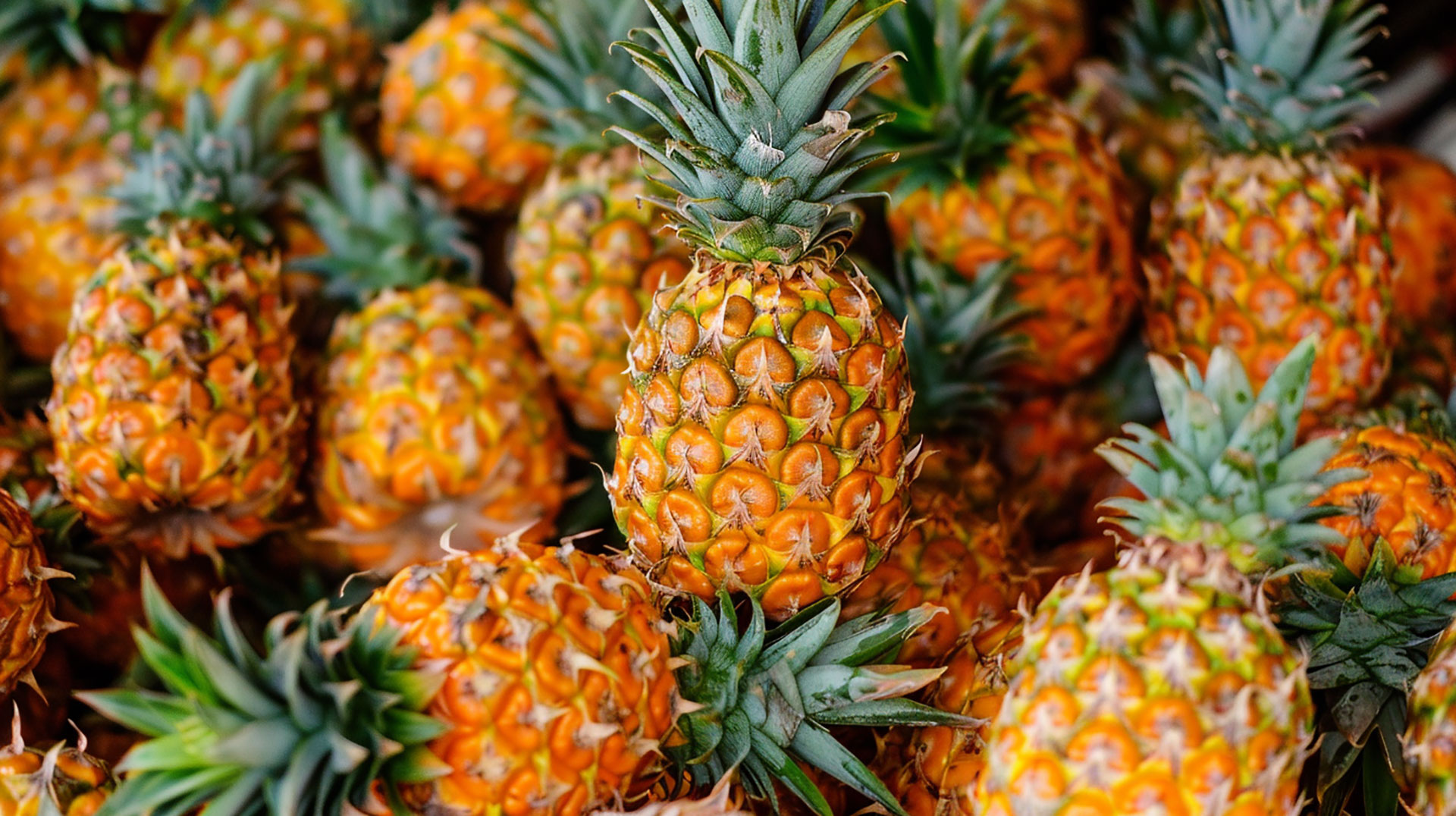 High-Quality Pineapple Image for Your Wallpaper Needs