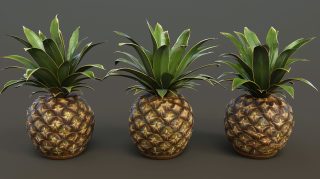 Fresh Pineapple Fruit Image in Ultra HD Quality