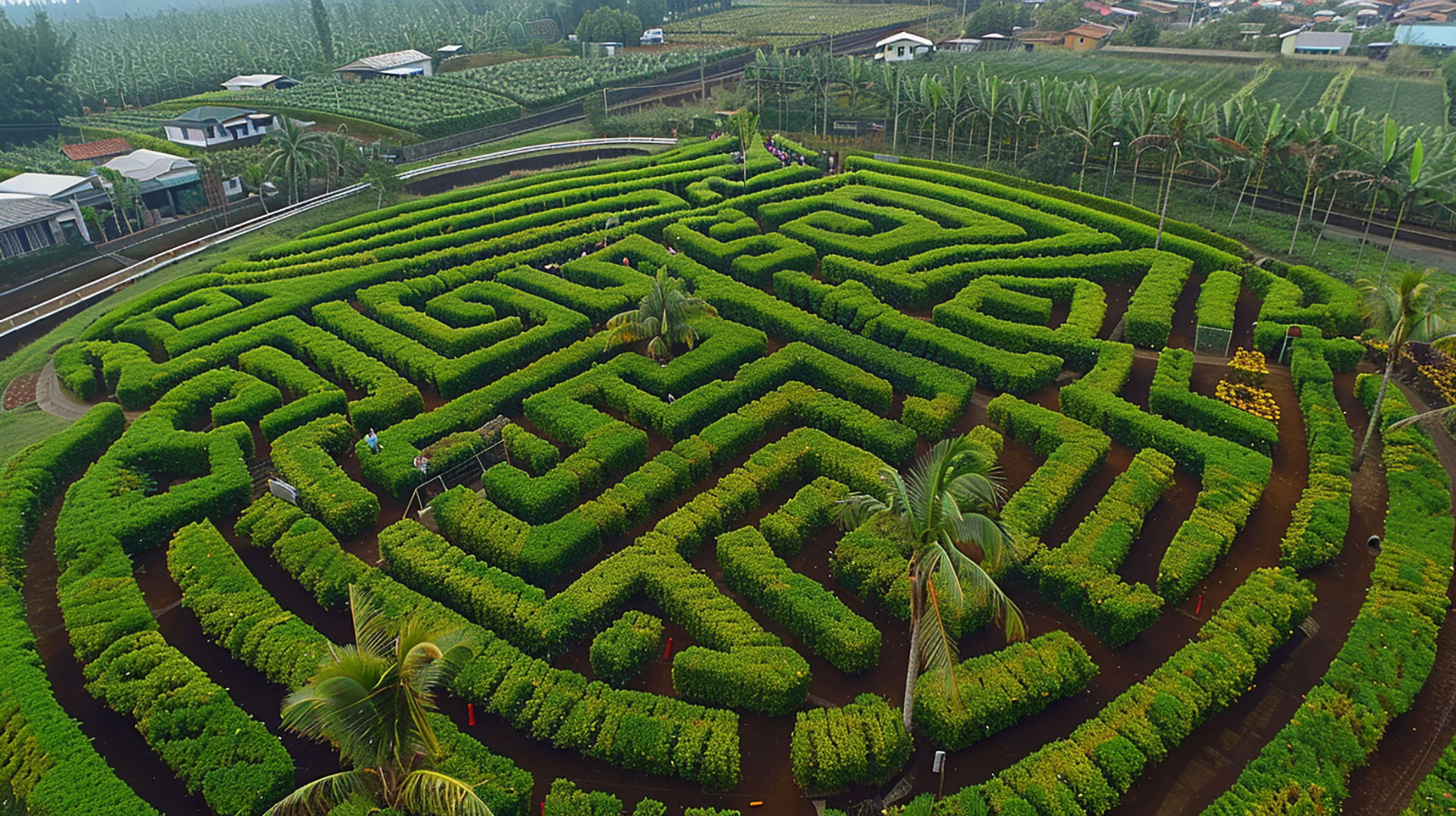 Download High-Quality Pineapple Garden Maze Photos