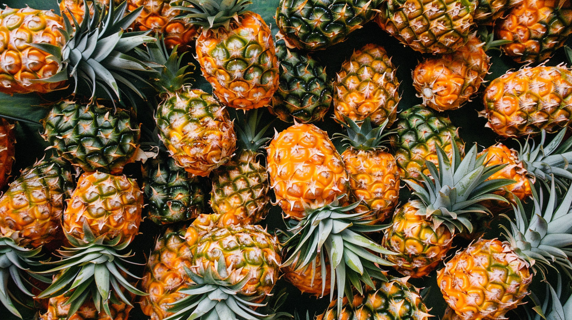 Download Free Pineapple Photos in Ultra HD Resolution