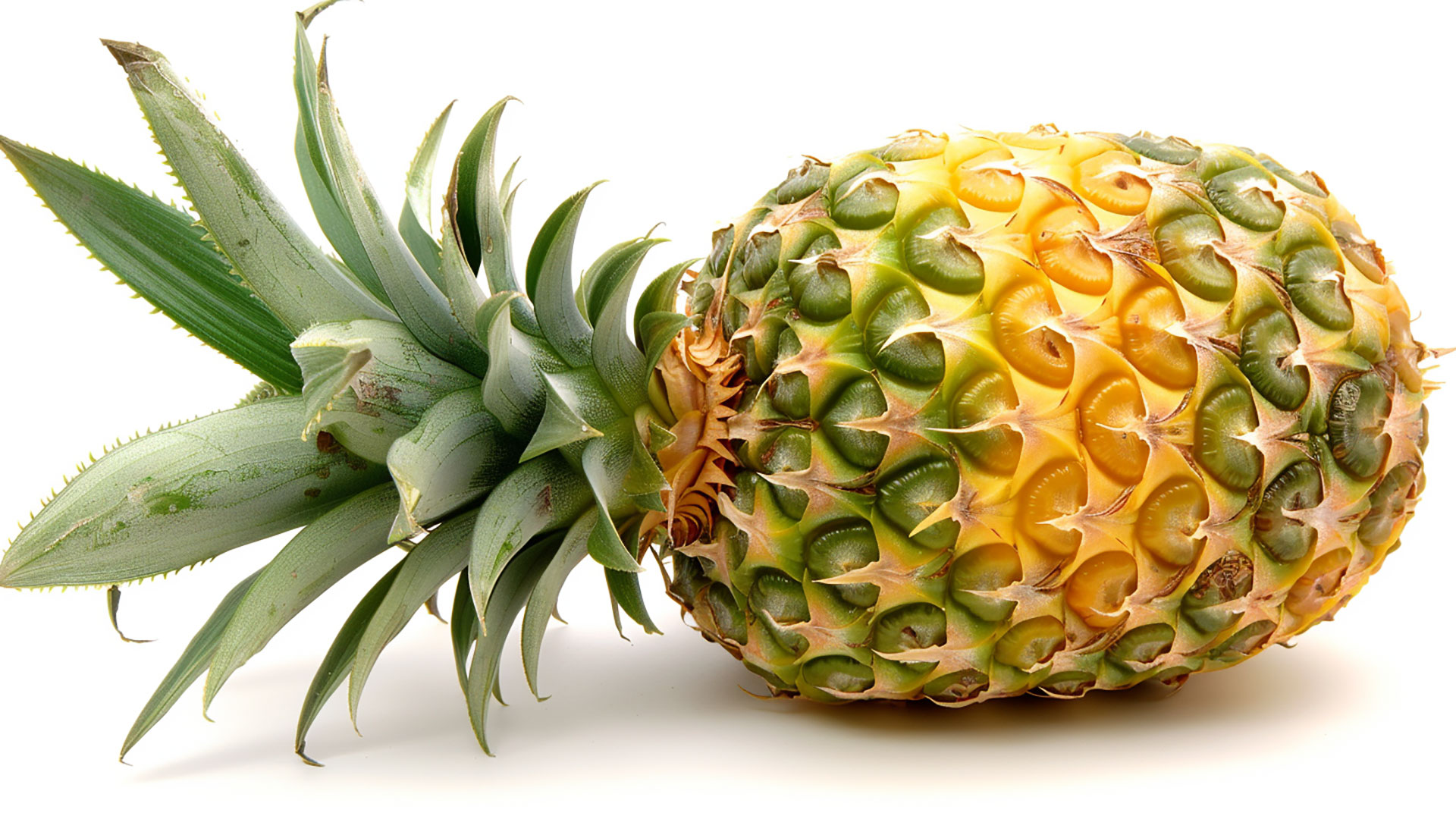 Download Free Pineapple Pictures for Desktop Backgrounds