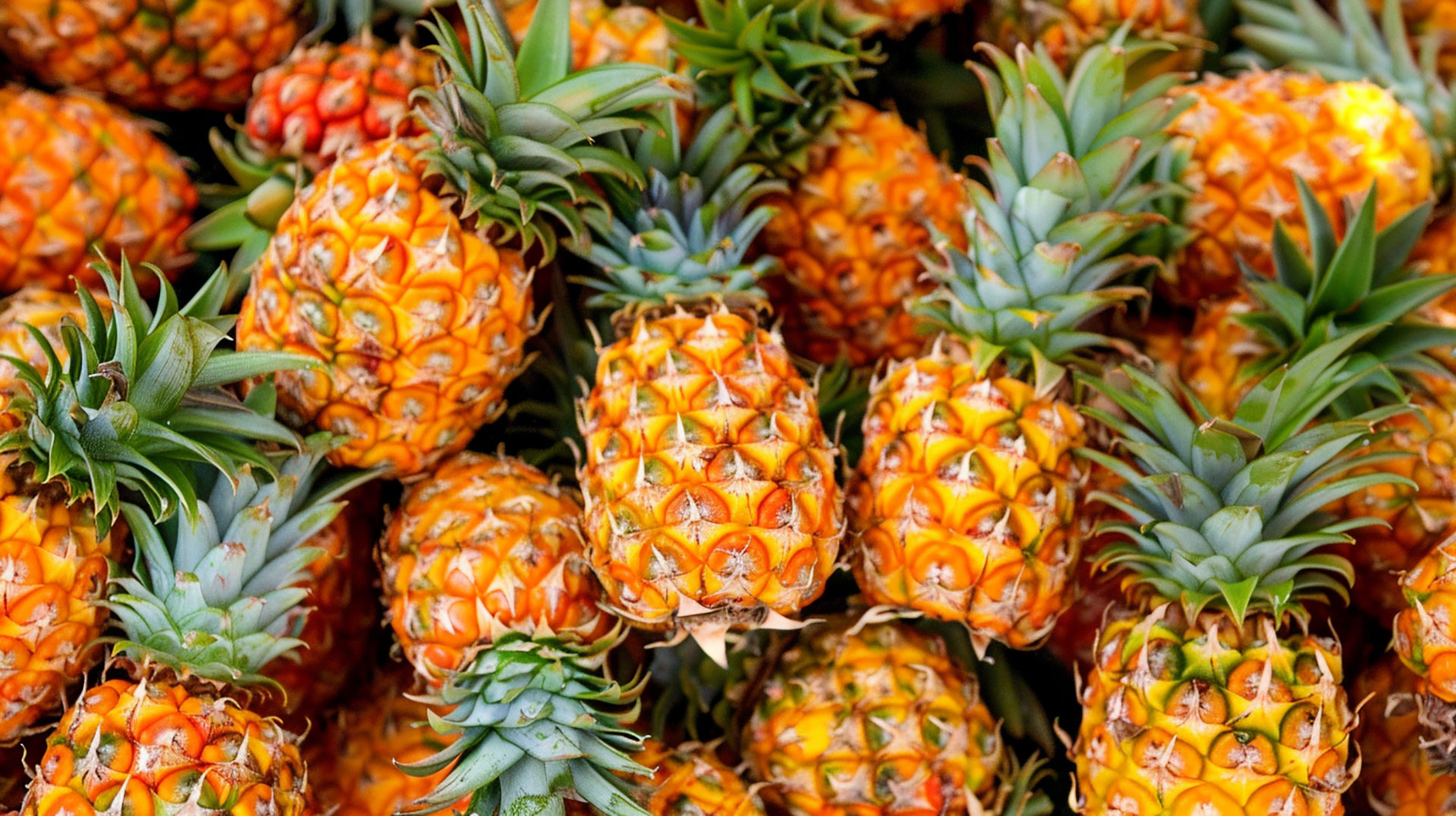 Discover High-Quality Pineapple Photos for Free