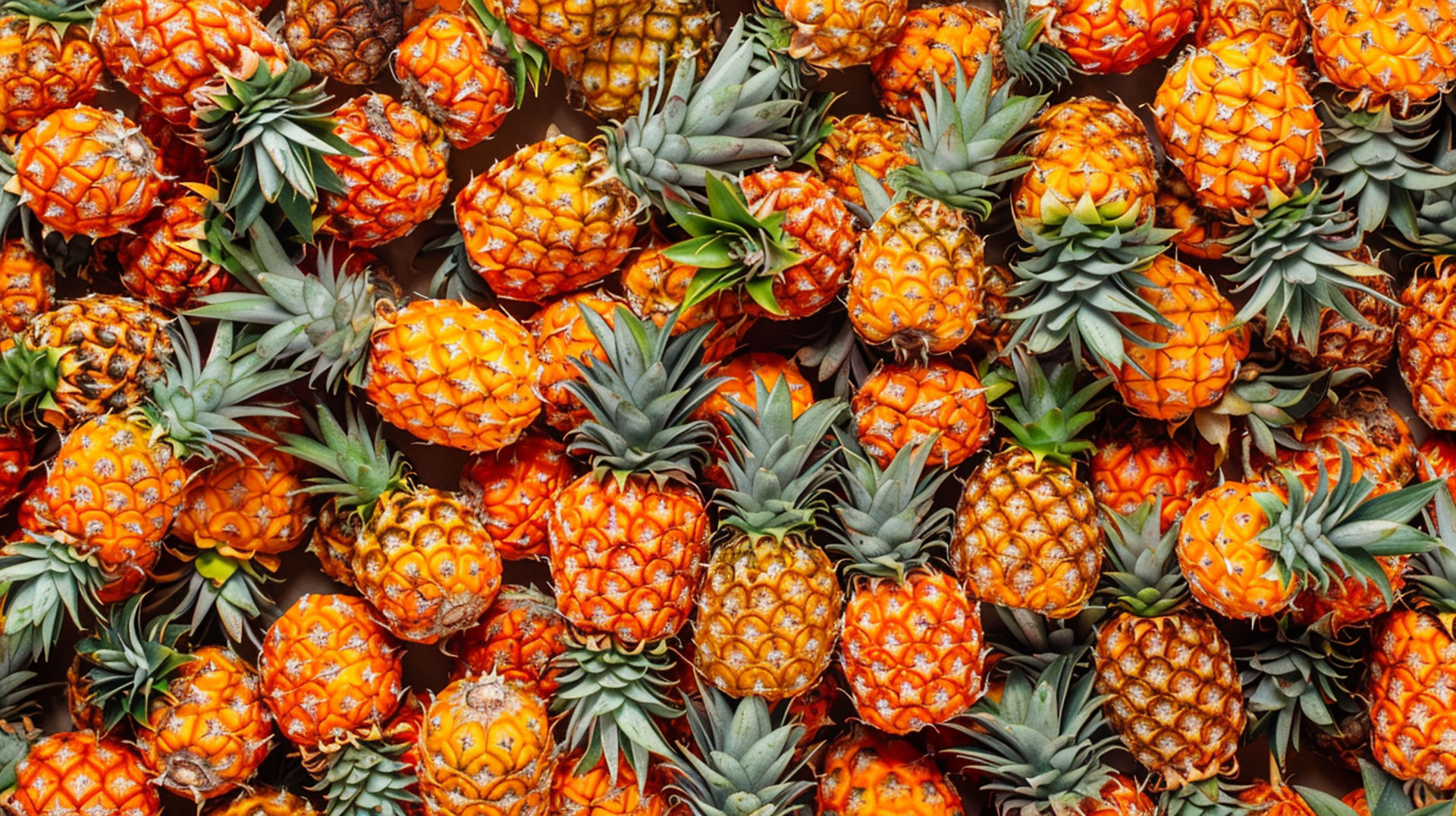 Free Ultra HD Pineapple Stock Photos for Your Collection