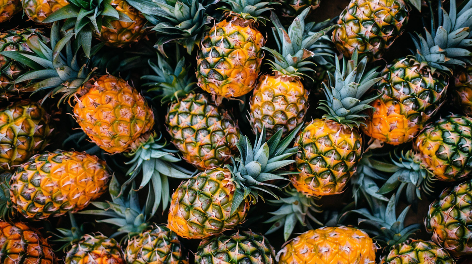 Royalty-Free Pineapple Images in 1920x1080