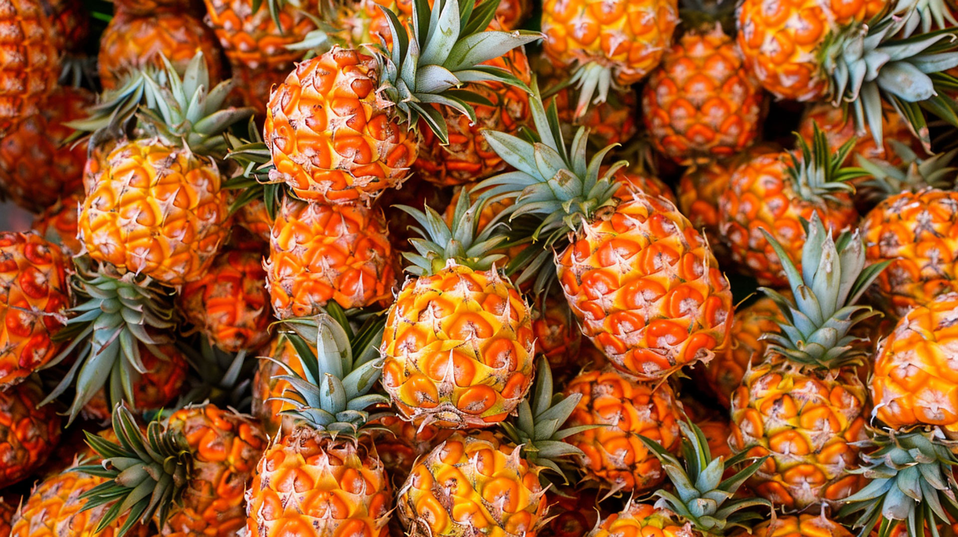 Pineapple Wallpaper in Ultra HD 4K