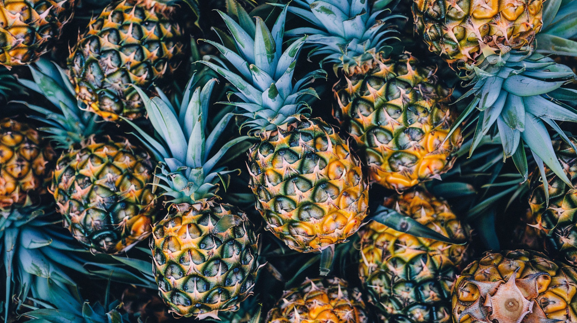 High-Resolution Pineapple Pictures for Free