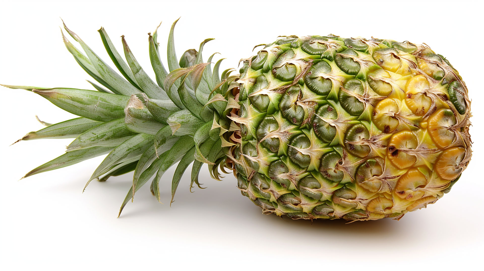 Download Free Pineapple Wallpapers for Desktop and Mobile