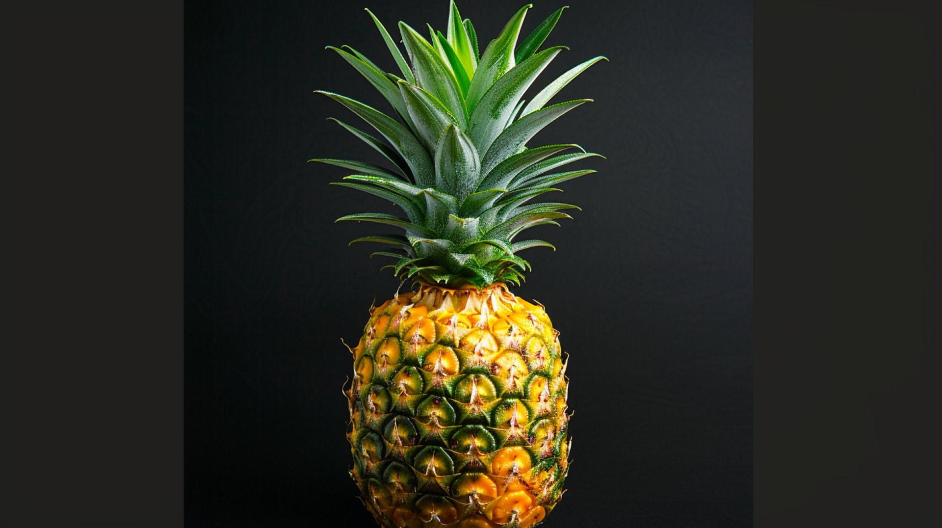 Free Royalty-Free Pineapple Photos for Websites