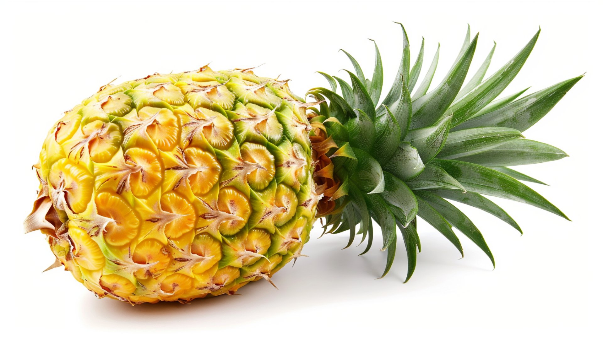 Download HD Pineapple Images for Desktop Wallpapers