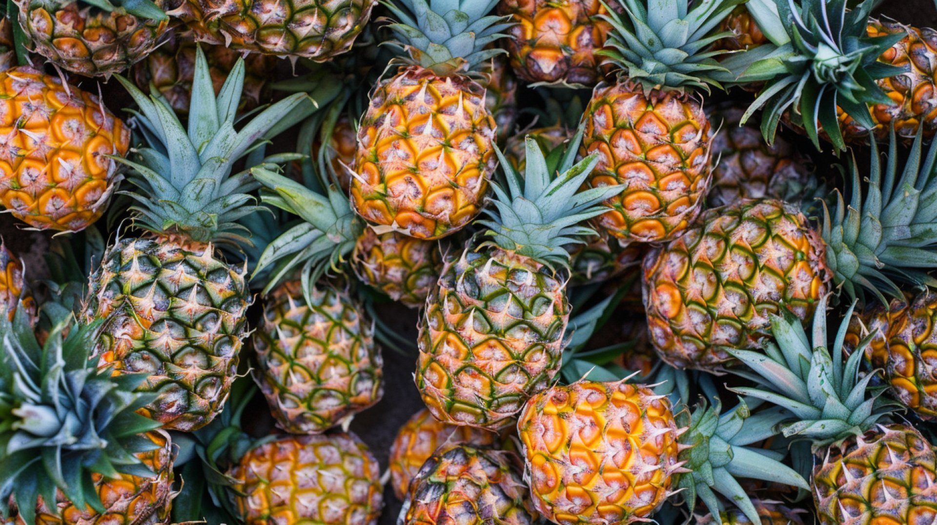 High-Quality Pineapple Photos for Your Desktop Wallpaper