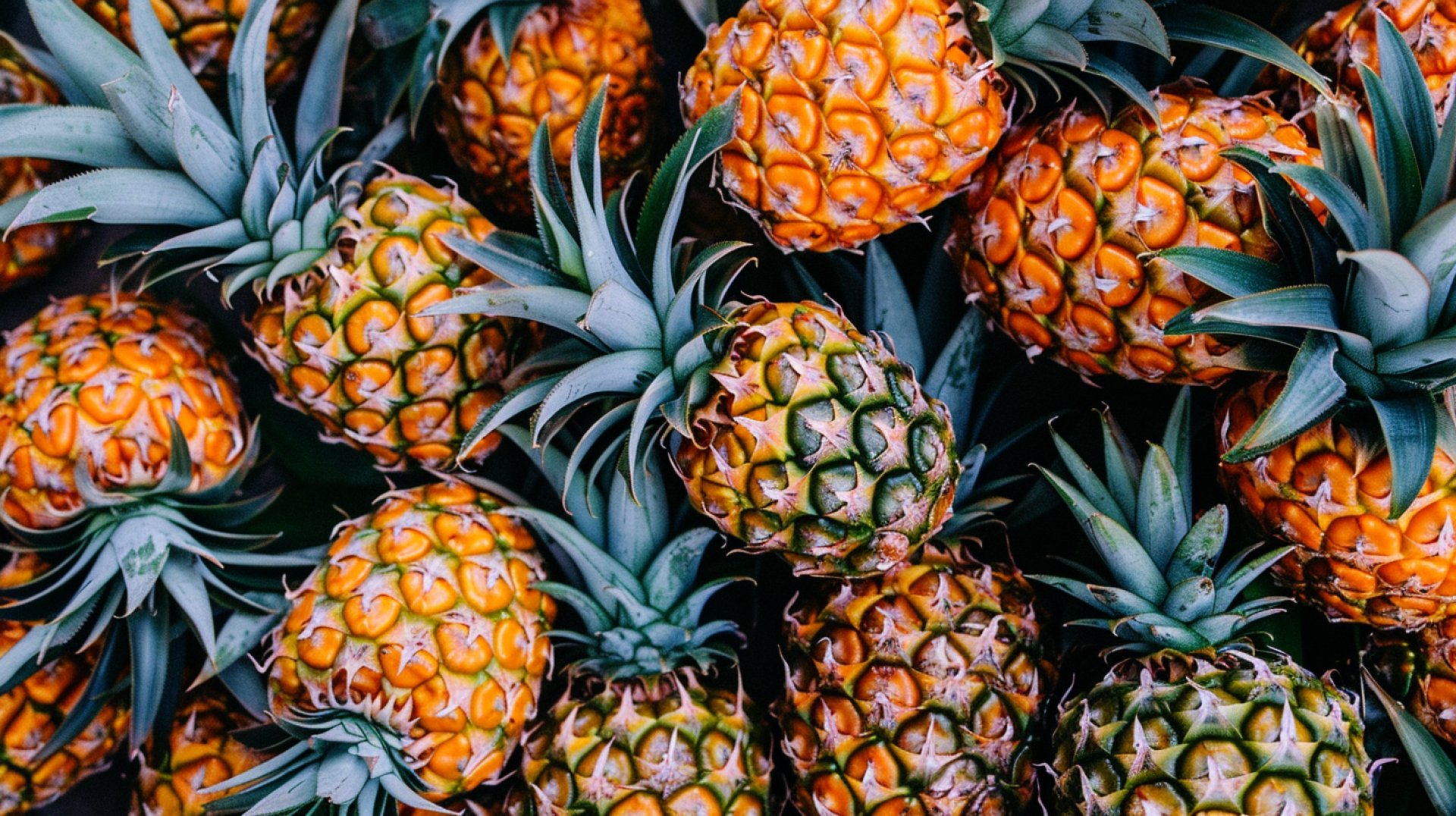 Fresh Pineapple Images in 16:9 Aspect Ratio