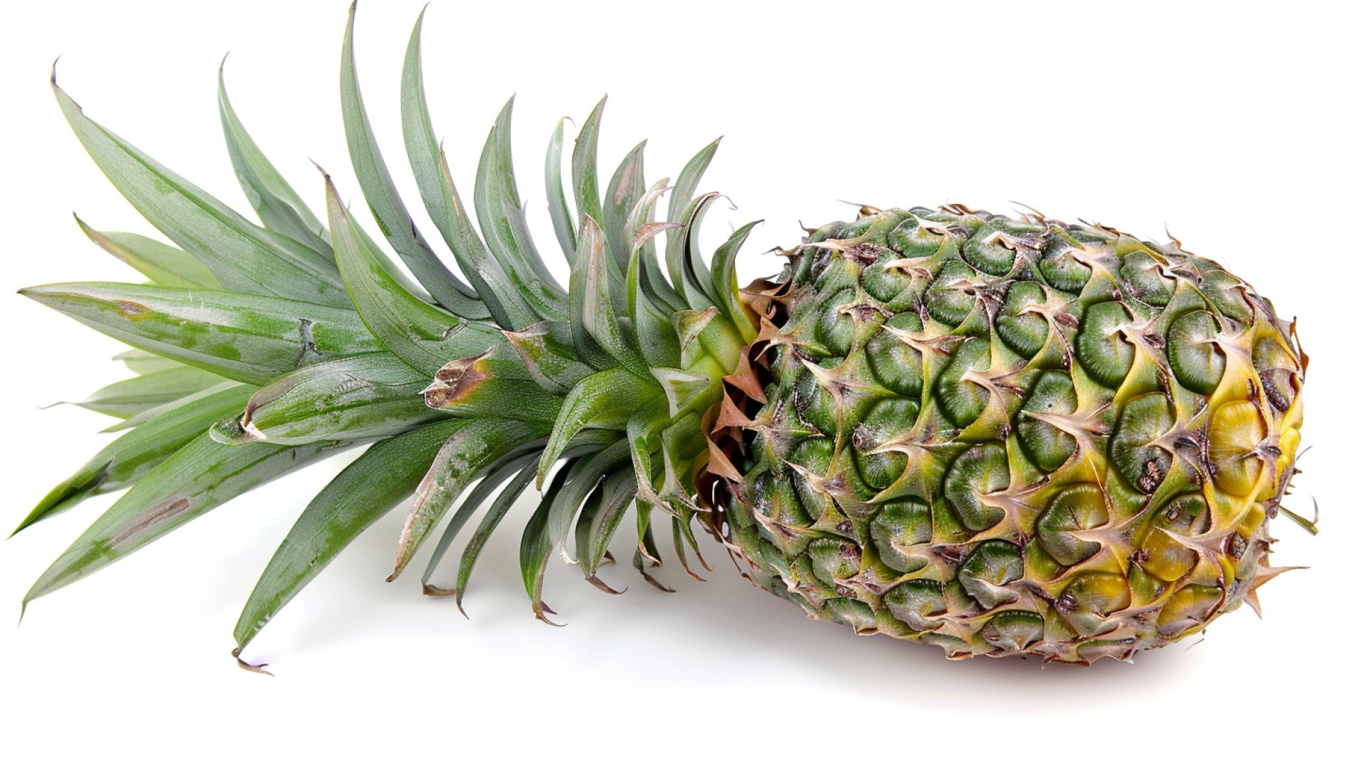 Pineapple Themed HD Wallpapers for Desktop and Mobile