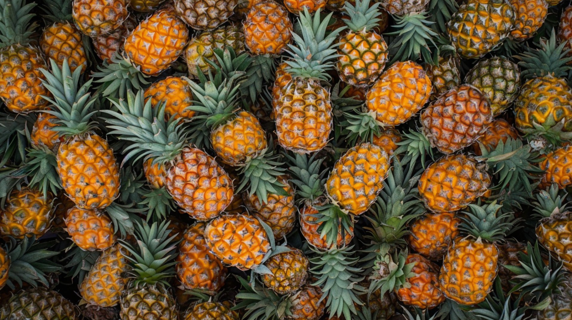 Downloadable Pineapple Images Perfect for Print and Web