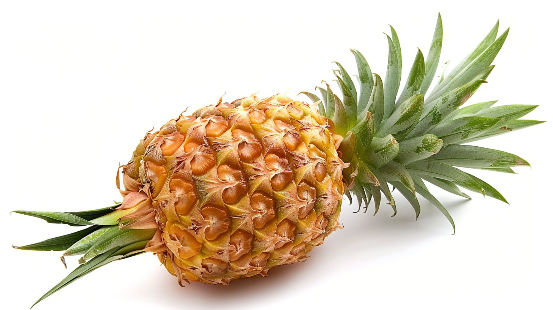 Stunning Pineapple HD Wallpapers for a Tropical Vibe