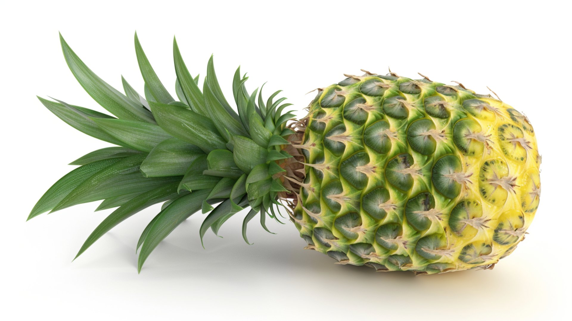 Fresh Pineapple Photo Collection - Free to Use